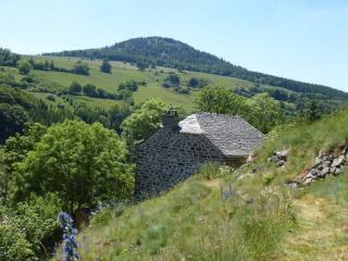 Gîte paisible et chaleureux avec grande terrasse - activités nature et patrimoine à proximité - FR-1-582-143 - Les Estables - 5