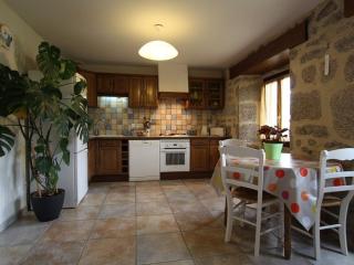 Maison de charme en Margeride: terrasse, terrain clos, proche Saugues et chemin St-Jacques - FR-1-582-146 - 9
