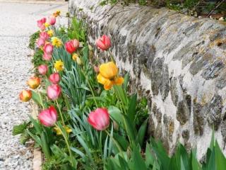 Gîte de charme en Auvergne, cour fermée, jardins privés, BBQ, babyfoot, proche St Jacques de Compostelle - FR-1-582-232 - 8