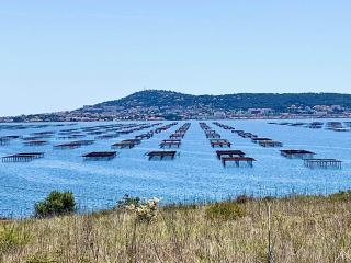 Maison familiale à Loupian avec piscine commune et climatisation - FR-1-604-9 - 6