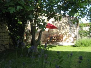 Charmante maison XVIIIème rénovée avec piscine et terrasse, proche rivière et pistes cyclables - FR-1-426-99 - Fontenay-le-Comte - 2