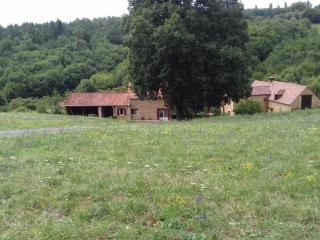 Charmante maison indépendante avec jardin, proche de Sarlat, Dordogne, idéale pour 6 personnes - FR-1-616-44 - Saint-Vincent-le-Paluel - 9