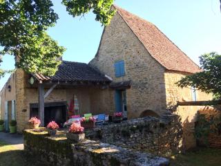 Maison rustique avec jardin, proche de la Dordogne et Vézère, animaux acceptés - FR-1-616-11 - Paunat - 0