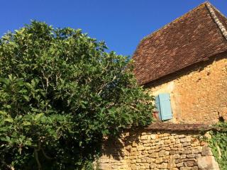 Maison rustique avec jardin, proche de la Dordogne et Vézère, animaux acceptés - FR-1-616-11 - Paunat - 5