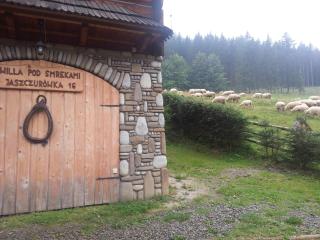 Wynajem Pokoi-Willa Pod Smrekami - Zakopane - 2