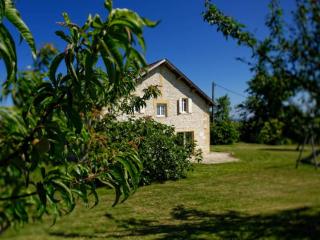 Grande Maison de Caractère avec Piscine Privée au Cœur du Vignoble de Bergerac - FR-1-616-128 - Saussignac - 8