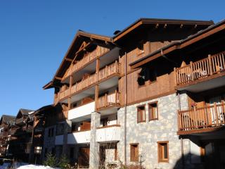 Superbe appartement 48m² avec terrasse, centre village, parking, proche ski-bus, non-fumeur - FR-1-624-46 - Samoëns - 9