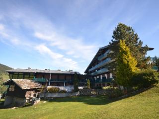 Les Gets - Appartement Le Grizzli - Pistes des Chavannes et Piscine Chauffée - FR-1-623-43 - Les Gets - 1