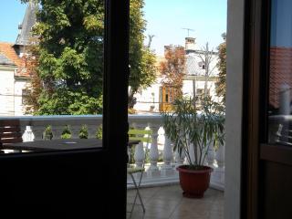 Pensiunea Buon Gusto Sibiu-motorcyle friendly,city center - 3
