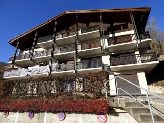 Bel appartement rénové pour 6 au Grand-Bornand, balcon exposé sud - FR-1-458-144 - Le Grand-Bornand - 1