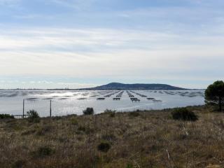 Charmant 2 pièces avec parking, tennis et loggia à 300m de la plage - FR-1-338-431 - Sète - 1