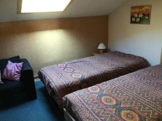 Chalet 3* 8 couchages, cheminée, parking, navette gratuite - FR-1-295-150 - 3