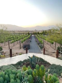 Luna Del Valle - Valle de Guadalupe - 7