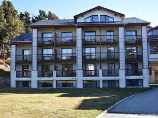 3 Pièces Cabine avec Balcon et Parking à Font-Romeu - FR-1-580-57 - Font-Romeu-Odeillo-Via - 3