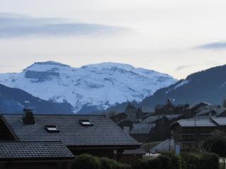 Appartement rénové à Morillon avec terrasse, proche du lac et arrêt navette - FR-1-642-36 - Morillon - 9