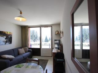 Appartement 30m² Chamrousse 1750, proche pistes et commerces, balcon ouest, 4-6 pers - FR-1-549-83 - Chamrousse - 4