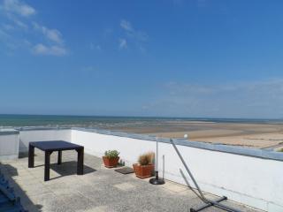 Appartement avec terrasse panoramique, acceptant les animaux, parking - FR-1-487-281 - Cabourg - 4
