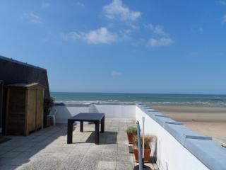 Appartement avec terrasse panoramique, acceptant les animaux, parking - FR-1-487-281 - Cabourg - 3
