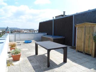 Appartement avec terrasse panoramique, acceptant les animaux, parking - FR-1-487-281 - 2
