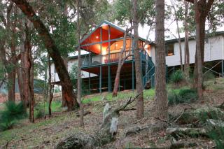 Treehouse - 3 acre elevated nature setting - Quindalup - 8