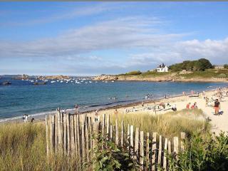 Maison de pêcheur calme à Trégastel avec jardin clos, proches commerces et plage, 3 pers, 3 étoiles - FR-1-542-51 - Trégastel - 8