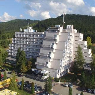 Hotel Montana - Covasna - Covasna - 9