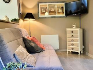 Gîte tout inclus avec jardin clos, terrasse privative, proche forêt et randonnées, 1 chambre, 1 canapé-lit - FR-1-510-168 - - 2