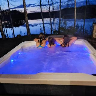 Villa Joutsen with jacuzzi - 9