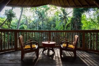 Bamboo Turtles Ecolodge - Ubud - 2