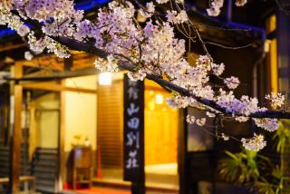 Yamada Bessou くつろぎの温泉宿 山田別荘 - Beppu - 5