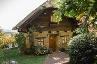 Almchalet bei Pörtschach - Obergöriach - 9