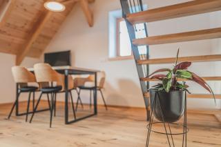 Apartmány Pod Jelenkou - Orlické Záhoří - 6