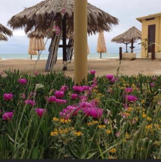 Hotel Cerrano - Silvi Marina - 6