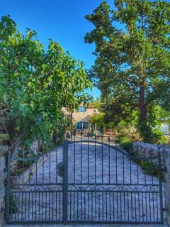 Villa Dvori Dida Mile - Sveti Petar - 4