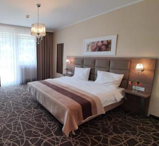 Ośrodek Uzdrowiskowy Świerkowy Zdrój Medical Spa - Rymanów-Zdrój - 2