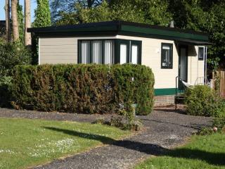 Chalet nr 17 op Bospark Trimunt - Marum - 7
