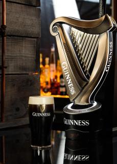 Temple Bar Inn - Dublin - 1