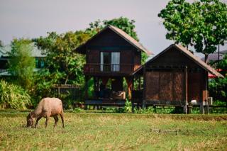 The Gemalai Village - 9