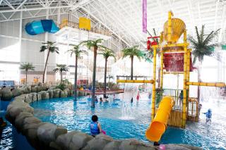 Intercontinental Alpensia Pyeongchang Resort by IHG - Pyeongchang - 6