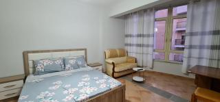 Miami Beach Apartments - Golem - 6