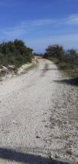 Liocharis Akro 1 - 2