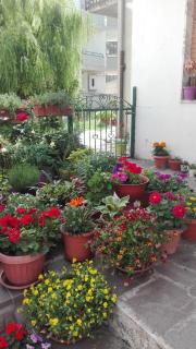 B&B A casa di Carla - Castelsaraceno - 8