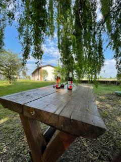 Agriturismo Cascina Mora - Pavia - 8