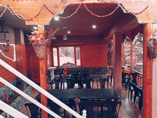 Cedar stream house - Jibhi - 9