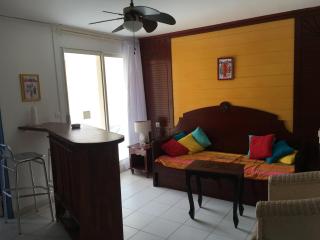 Appt 2chb avec piscine - Sainte-Anne - 8