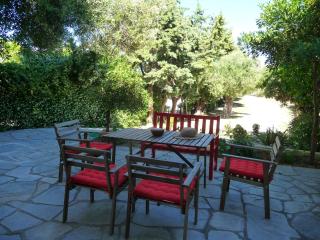 Neria Summer Houses - Hanioti - 7