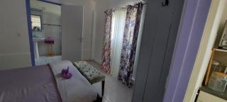 Villa Raven`s Paradise (Lavender) - Willemstad - 1