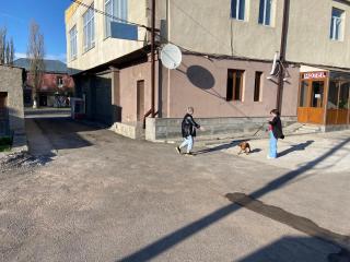 HOTEL SV - Ninotsminda - 7