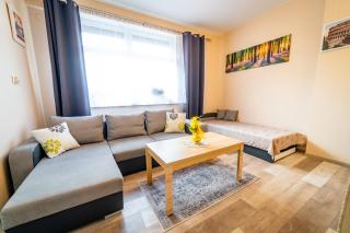 Alicja Apartament - 5