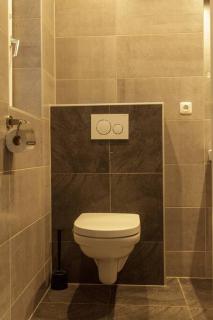 Boszicht 2 appartement in Oostkapelle - 1